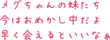 メグちゃんの妹たち今はおめかし中だよ早く会えるといいなぁ